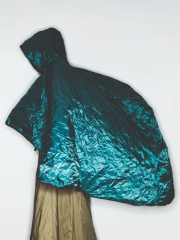 http://www.julie-nivert.com/files/gimgs/th-39_julie_nivert_gregoire_alexandre_trendlab-web_14.jpg