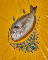 http://www.julie-nivert.com/files/gimgs/th-50_julie-nivert-raphael-lugassy-please-fish-4_v2.jpg