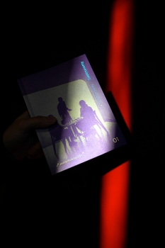 http://www.julie-nivert.com/files/gimgs/th-68_immersive_paris_web_04_chameleonne.jpg